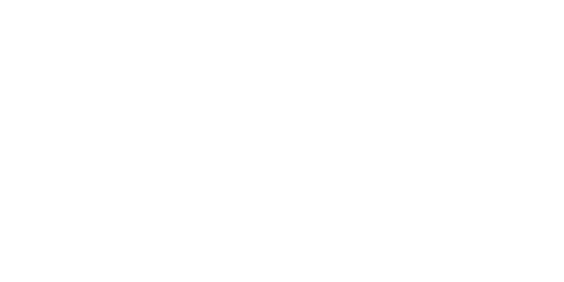 Carlos Seguros