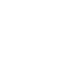 DS Seguros